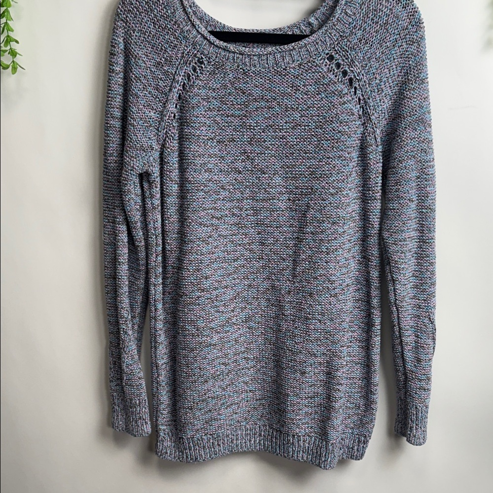 Talbots Blue and Pink Knit Sweater
